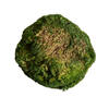 1 Lb. Apple Green Pole Moss - view 5 of 5