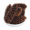 9.5"-10" Sugar Pinecone 7/Pack - view 3 of 3
