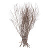 36" Tigerwood Stem Bundle - 25/Pk - view 1 of 4