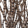 36" Tigerwood Stem Bundle - 25/Pk - view 3 of 4