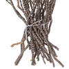 36" Tigerwood Stem Bundle - 25/Pk - view 4 of 4