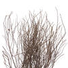 36" Tigerwood Stem Bundle - 25/Pk - view 2 of 4