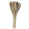 Vickerman Natural Botanicals 24" Babala Natural, 75/Pk - view 1 of 6