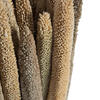 Vickerman Natural Botanicals 24" Babala Natural, 75/Pk - view 4 of 6