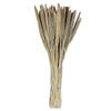 Vickerman Natural Botanicals 24" Babala Natural, 75/Pk - view 3 of 6