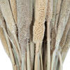 Vickerman Natural Botanicals 24" Babala Natural, 75/Pk - view 6 of 6