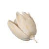 Vickerman Natural Botanicals 0.78" Bakuli - view 3 of 4