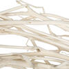 32" Begun Tree Bleached 5/pk - view 4 of 4
