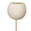 20" Bell Cup Bleached Stem 40/pk - view 3 of 8
