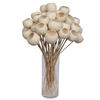 20" Bell Cup Bleached Stem 40/pk - view 8 of 8