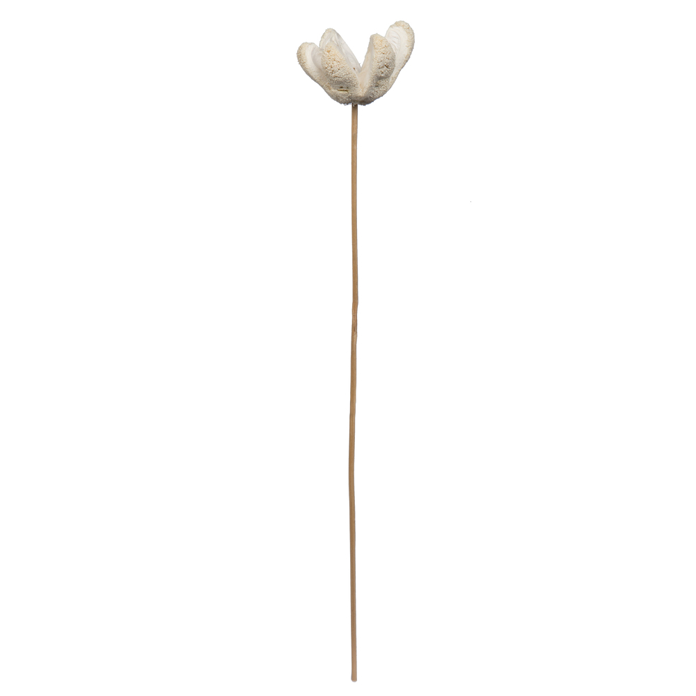 20" Bullet Flower Bleached Stems 50/pk