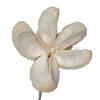 20" Bullet Flower Bleached Stems 50/pk - view 4 of 8