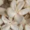 20" Bullet Flower Bleached Stems 50/pk - view 5 of 8