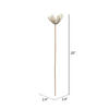 20" Bullet Flower Bleached Stems 50/pk - view 8 of 8