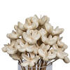 20" Bullet Flower Bleached Stems 50/pk - view 6 of 8