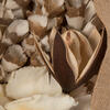 19" Bleached Palm Assorted Bouquet - view 4 of 6