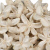 2.36" Bullet Flower Bleached 50/pk - view 3 of 4