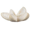 2.36" Bullet Flower Bleached 50/pk - view 2 of 4