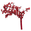 Vickerman Natural Botanicals 6"-8" Canella Special - view 1 of 4