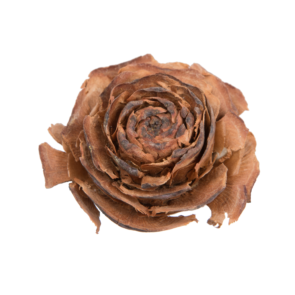 Vickerman Cedar Rose
