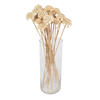 Vickerman Natural Botanicals 1.57" Cedar Rose, on Stem. Includes 50 pieces per unit. - view 1 of 4