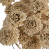 Vickerman Natural Botanicals 1.57" Cedar Rose, on Stem. Includes 50 pieces per unit. - view 4 of 4