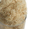 Vickerman Natural Botanicals Curly Moss - view 4 of 4