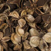 0.8" Cotton Flower Natural 1 kg/pk - view 4 of 6
