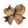 0.8" Cotton Flower Natural 1 kg/pk - view 3 of 6