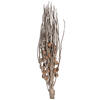 32" Coco Jhar Natural 10/pk - view 1 of 5