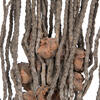 32" Coco Jhar Natural 10/pk - view 2 of 5