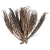 32" Coco Jhar Natural 10/pk - view 5 of 5