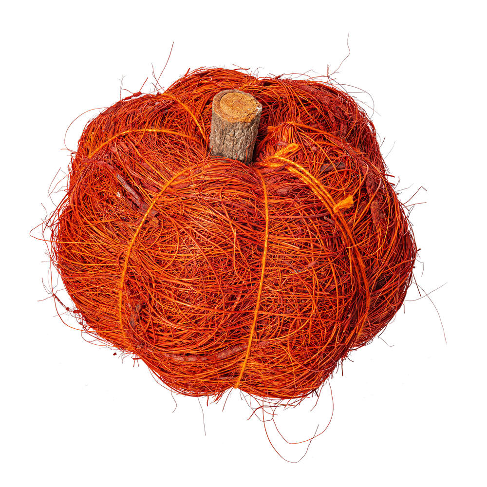 Vickerman Natural Botanicals Dried Hand Crafted Coconut Coir Pumpkin