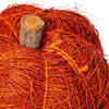 Vickerman Natural Botanicals Dried Hand Crafted Coconut Coir Pumpkin - view 2 of 3