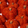 Vickerman Natural Botanicals Dried Hand Crafted Coconut Coir Pumpkin - view 3 of 3
