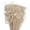 Vickerman Natural Botanicals 24"-28" Curly Ting Ting - view 2 of 6