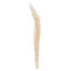 8"-12" Khejur Jhar Bleached Palm 25/pk - view 1 of 5