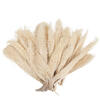 8"-12" Khejur Jhar Bleached Palm 25/pk - view 5 of 5