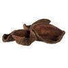 3.2"-4" Land Lotus 50/pk - view 4 of 6