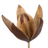 20" Lily on Stem 50/pk - view 3 of 8