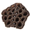 Vickerman Natural Botanicals Lotus Pod - view 1 of 4