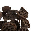 20" Lotus Pod Medium on Stem 50/pk - view 4 of 5