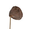 20" Lotus Pod Medium on Stem 50/pk - view 3 of 5