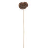 20" Lotus Pod Medium on Stem 50/pk - view 2 of 5