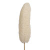 20" Bleached Luffa on Stem 25/pk - view 4 of 8