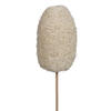 20" Bleached Luffa on Stem 25/pk - view 3 of 8