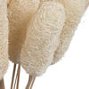 20" Bleached Luffa on Stem 25/pk - view 6 of 8