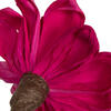 Vickerman 6" Natural Botanicals Maize Dahlia on Wire Stem - view 3 of 5