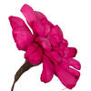 Vickerman 6" Natural Botanicals Maize Dahlia on Wire Stem - view 4 of 5