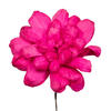 Vickerman 6" Natural Botanicals Maize Dahlia on Wire Stem - view 2 of 5